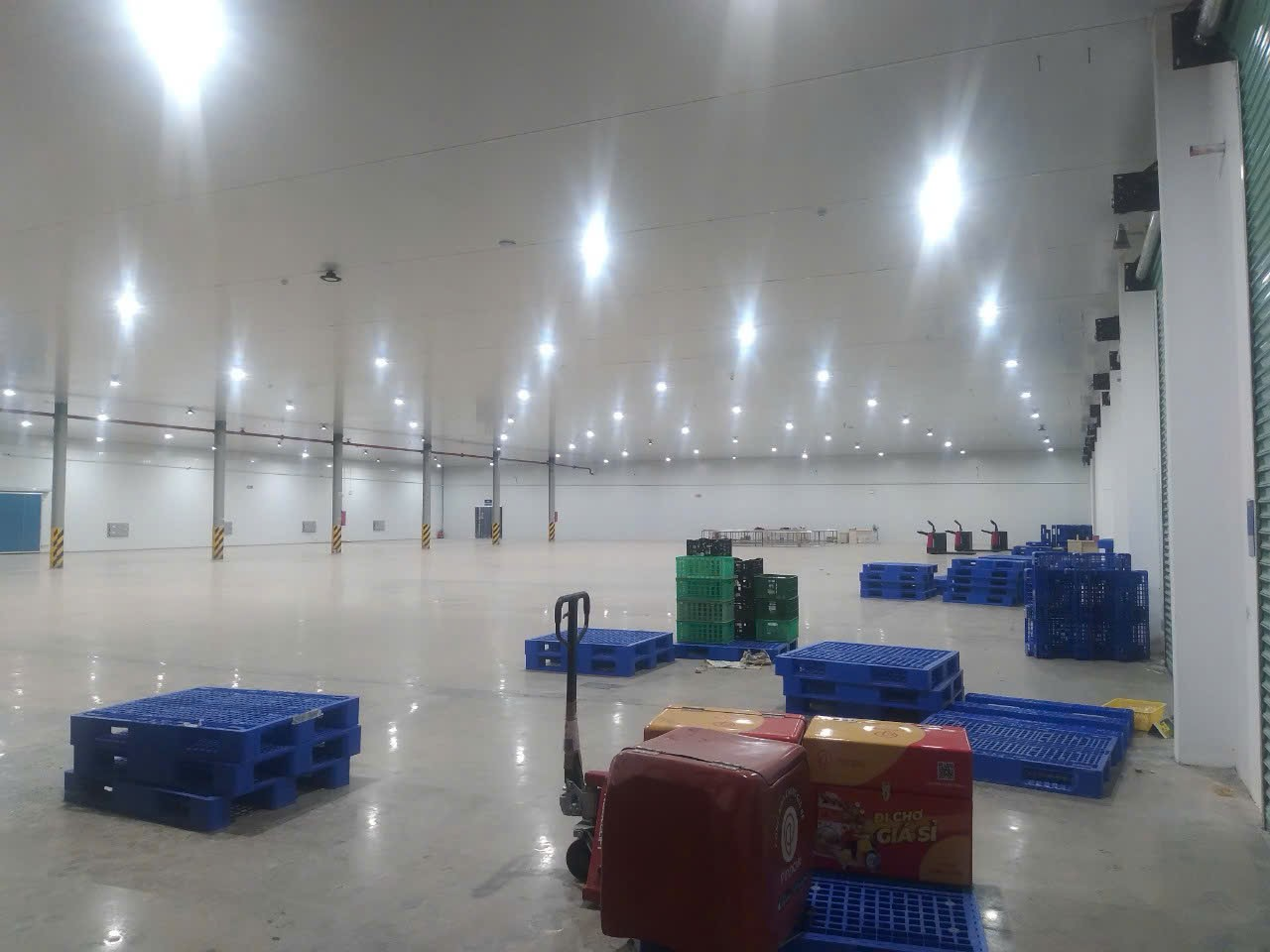 Market growth and business opportunities